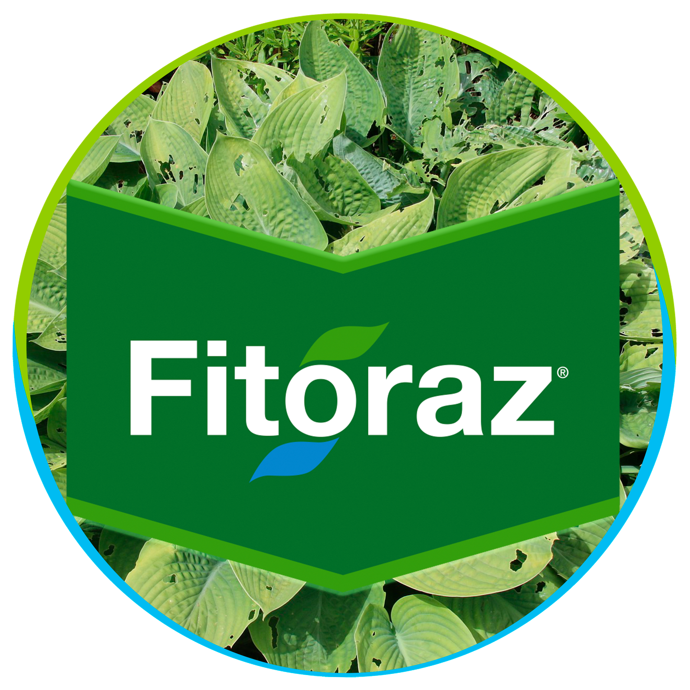 Fitoraz