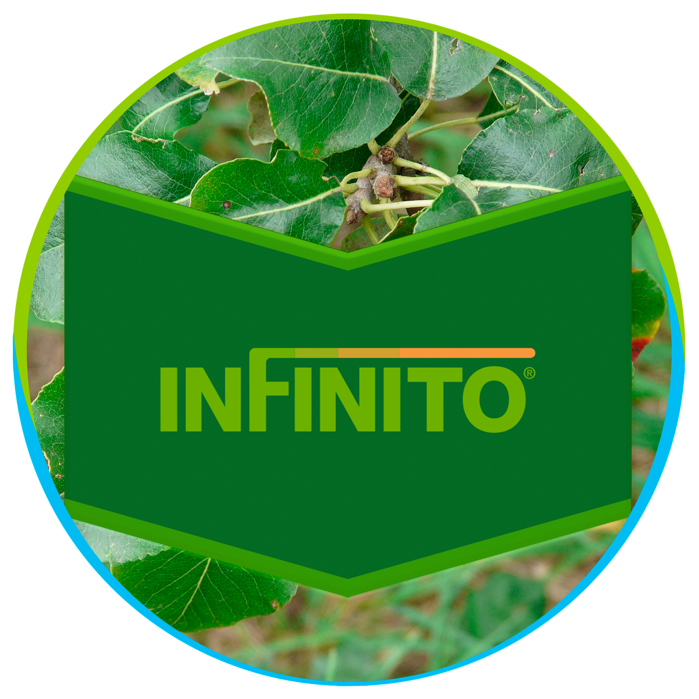 Inifinito_OK