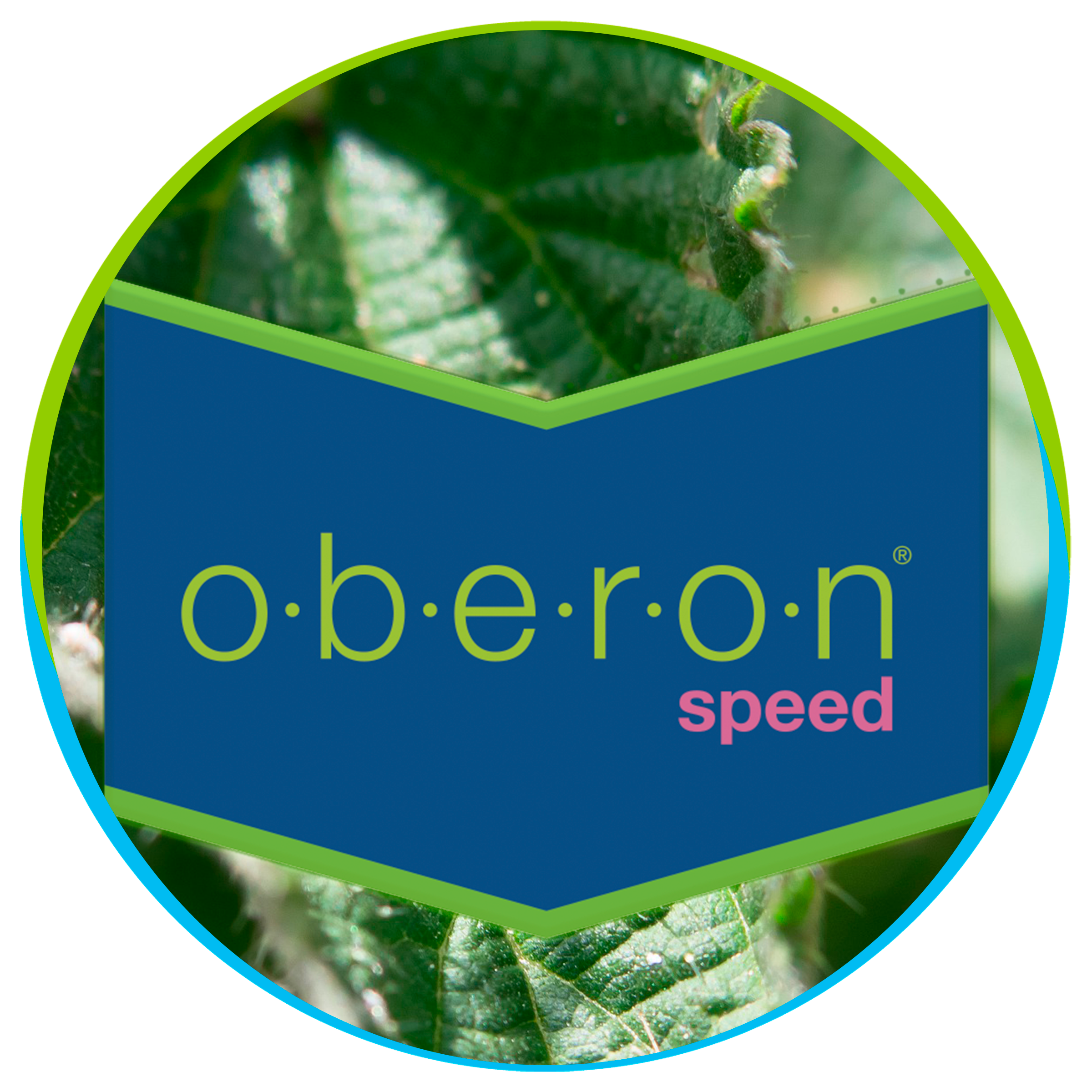 Oberon Speed