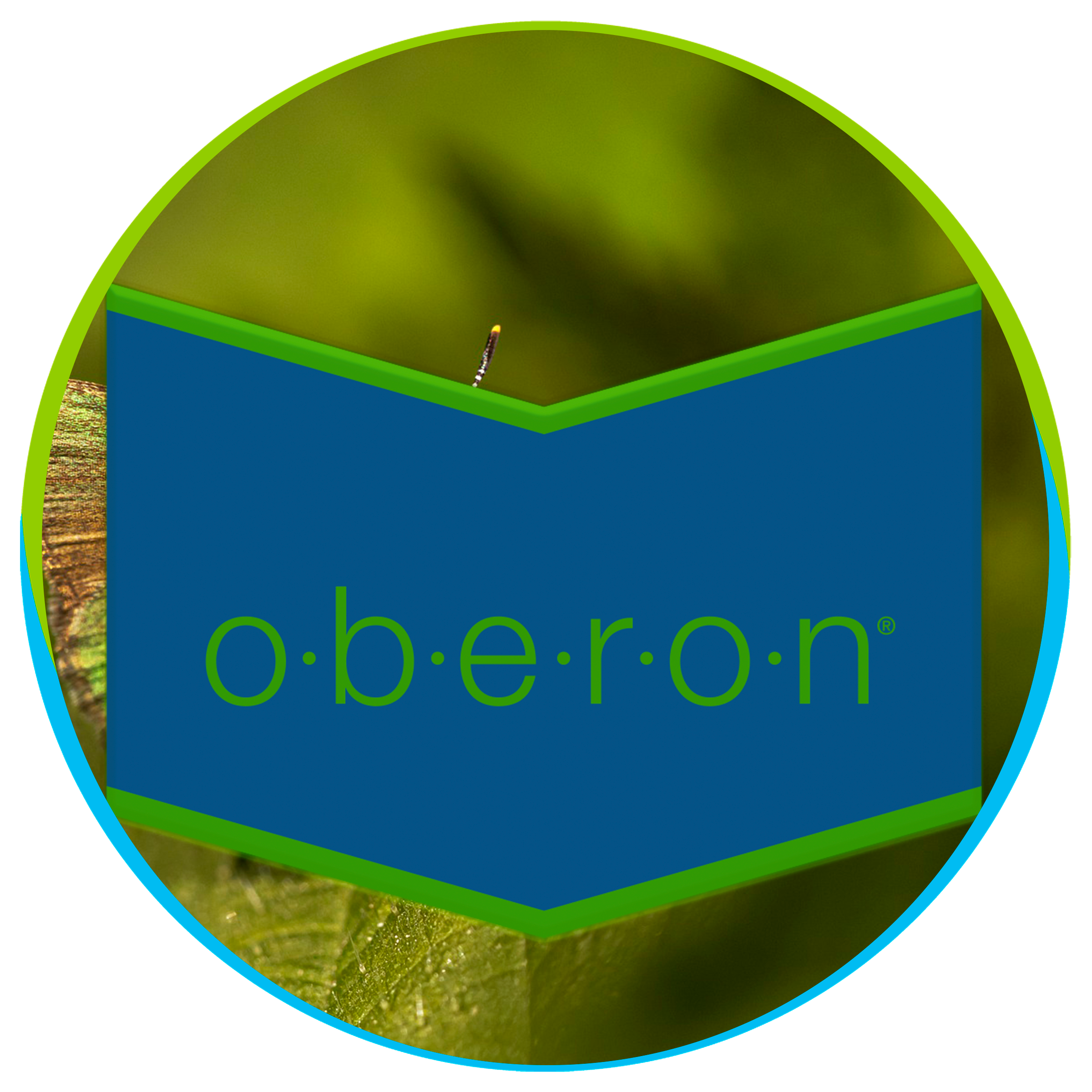 Oberon