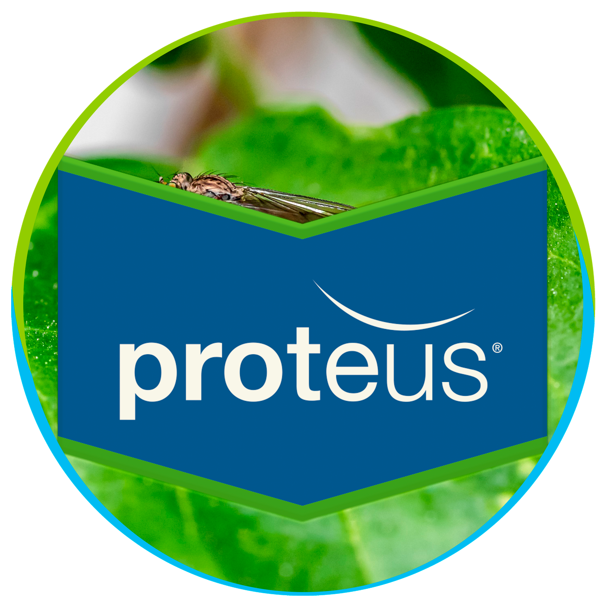 Proteus