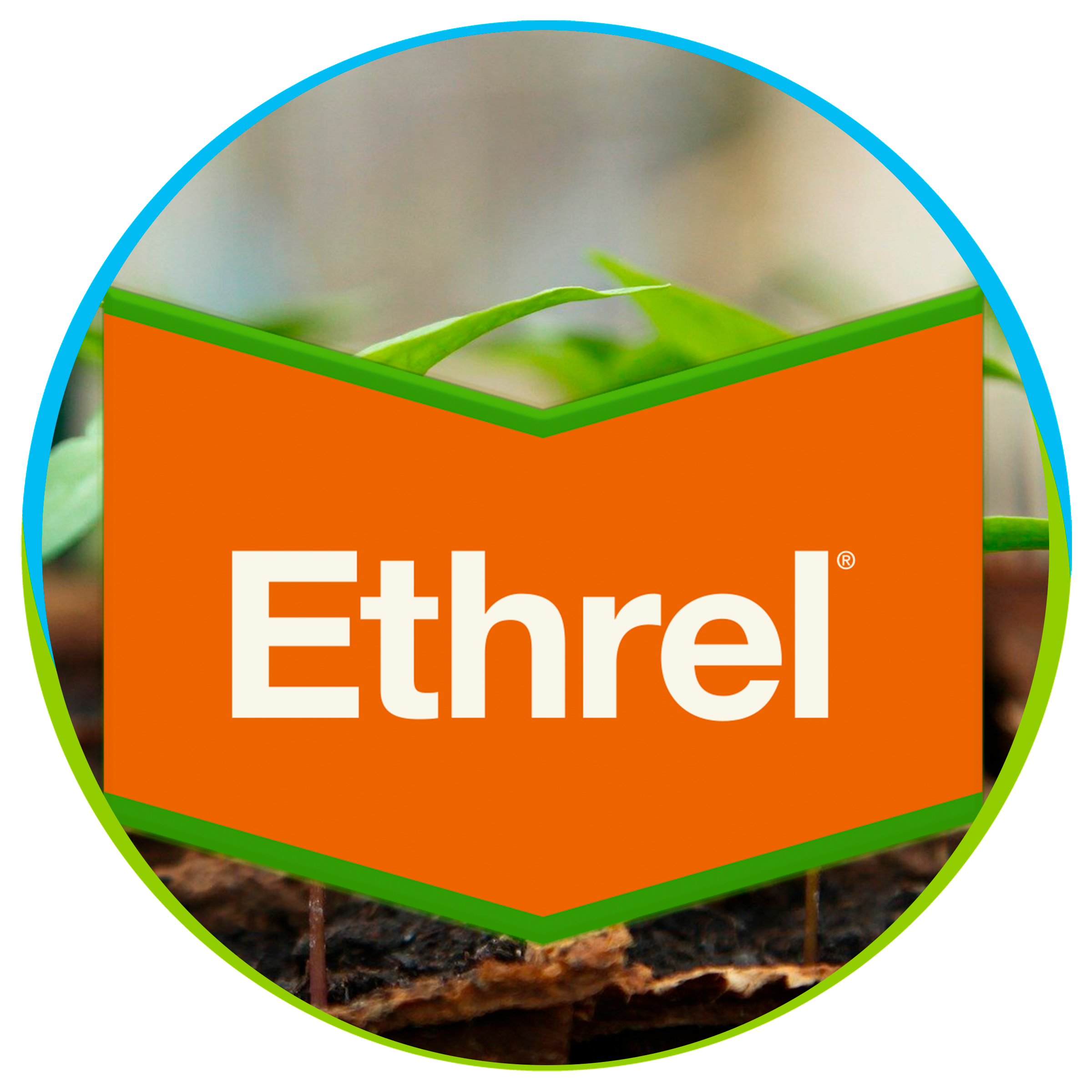 ethrel