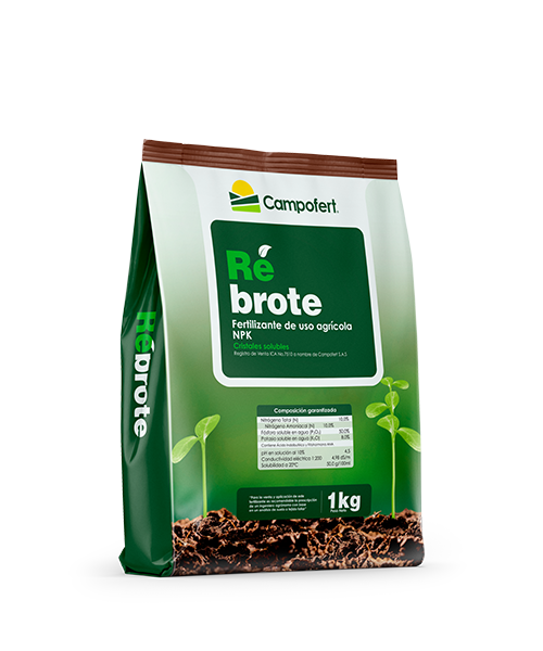 pc_0022_rebrote