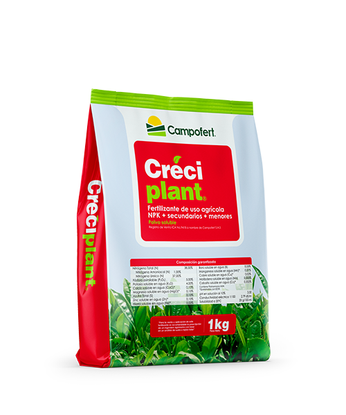 pc_0052_creciplant