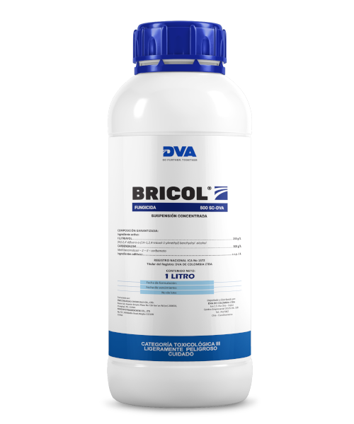 Bricol LT