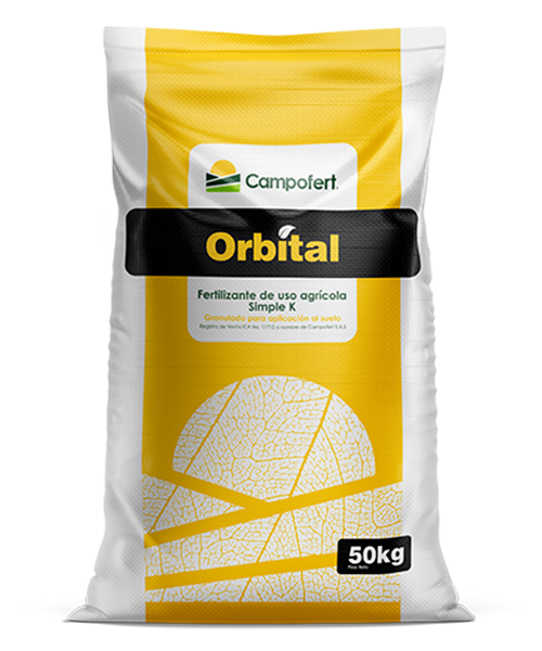Orbital