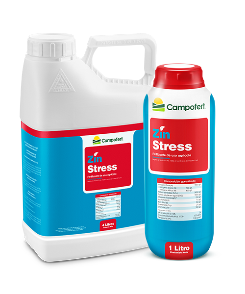 c__0000_zinstress