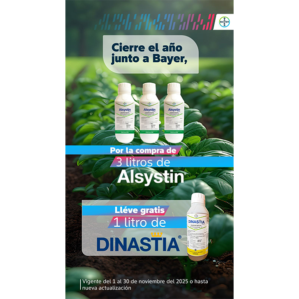 Campaña Noviembre Bayer 2025 _1